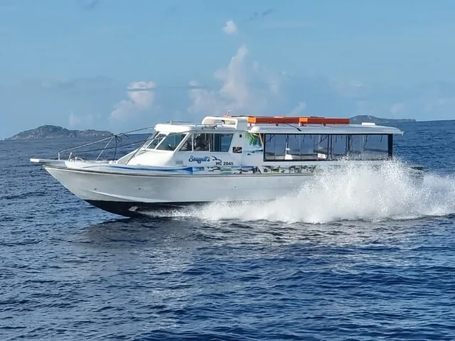 Seagull tour boat speeding across the open blue ocean waters