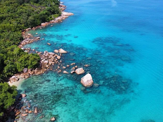 Aerial perspective of a lush green coastline with clear blue waters