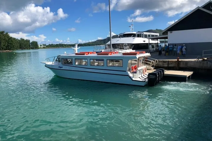 White tour boat docked at a pier on a sunny day