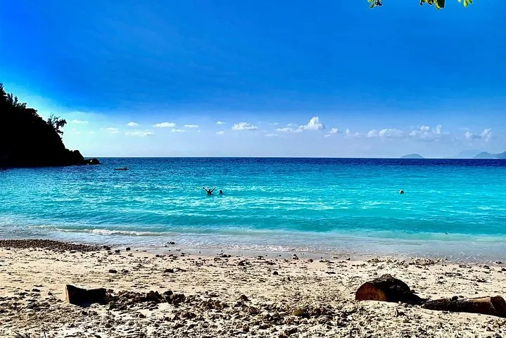 People swimming in the bright turquoise waters of a tropical beach