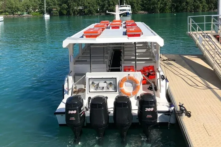 Rear view of a white passenger boat with four outboard motors